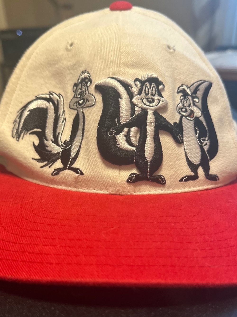 Vintage 90s Warner Bros Studio Store Pepe Le Pew Skunks Snapback Hat Cap
